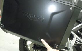 TRIUMPH TIGER 900 RALLY PRO 2022