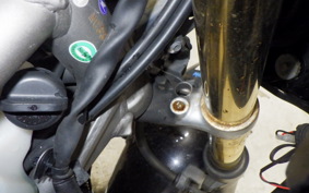HONDA VTRF250 2007 MC33