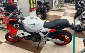 YAMAHA XSR900 GP 2024 RN96J