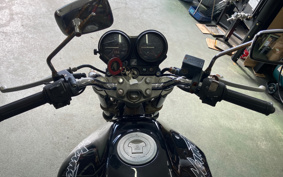 HONDA HORNET 250 MC31