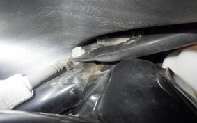 HONDA GYRO CANOPY TA03