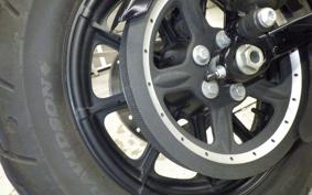 HARLEY XL1200NS 2020