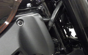 KAWASAKI Z900RS 2022 ZR900C