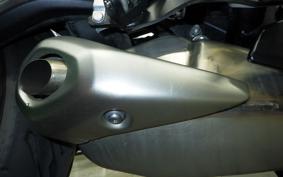 TRIUMPH DAYTONA 660 2024