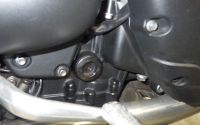 TRIUMPH SPEED TWIN 2023