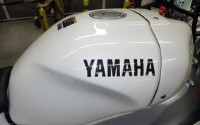 YAMAHA XSR900 GP 2024 RN96J