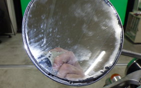 HONDA CD250 2025 CD250