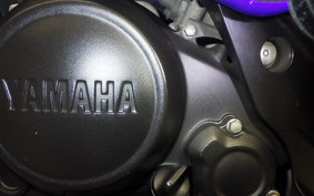 YAMAHA YZF-R15 2024