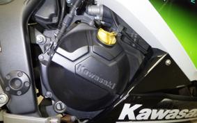 KAWASAKI NINJA 250 EX250L