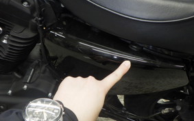 HARLEY XL1200NS 2020