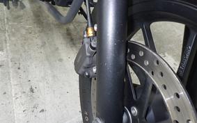 HONDA REBEL 250 2005 MC49