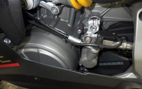 DUCATI 1199 PANIGALE R 2014