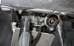 YAMAHA YZF-R25 A RG10J