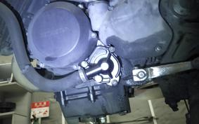 HONDA VTRF250 MC33