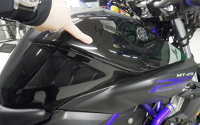 YAMAHA MT-25 RG10J