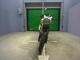 Фото Hyosung GT250 с японского аукциона