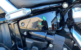 HARLEY FLFBS 2017 YGK