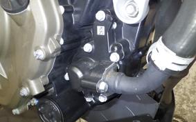 HUSQVARNA SVARTPILEN 250 2021