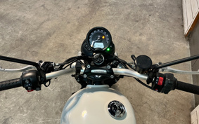 TRIUMPH STREET SCRAMBLER 2018 DAD78G
