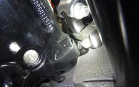 HARLEY FXLRS1920 2023