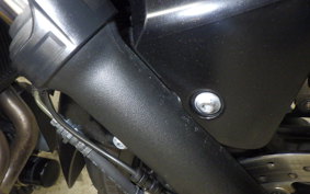 YAMAHA MT-07 2024 RM33J