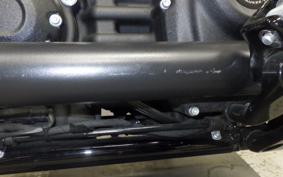 HARLEY FXLRS1870 2021