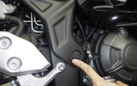 YAMAHA YZF R-3 2025 RH25J