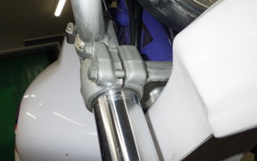YAMAHA TT250R RAID 4GY