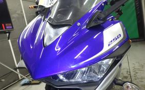YAMAHA YZF-R25 2023 RG10J