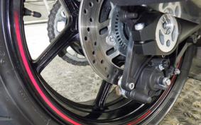 KAWASAKI NINJA 1000SX 2024 ZXT02K