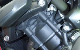 TRIUMPH TRIDENT 660 2022