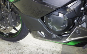 KAWASAKI NINJA 1000SX 2020 ZXT02K