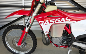 GASGAS EC 250
