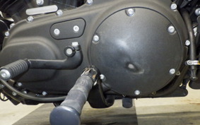 HARLEY XL1200NS 2019