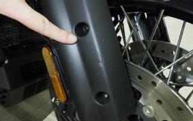 HARLEY PAN AMERICA 1250 S 2021