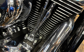 HARLEY FXDL1580 2008 GN4