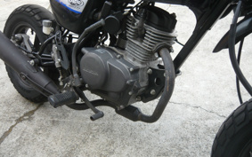 HONDA Ape50 TypeD AC18