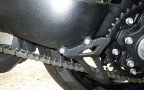 TRIUMPH SPEED TRIPLE RR 2024