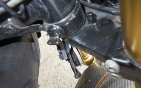 HONDA GROM JC61