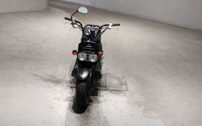 HONDA ZUMAR AF58