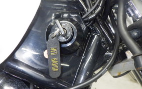 YAMAHA DRAGSTAR 250 2025 VG05J