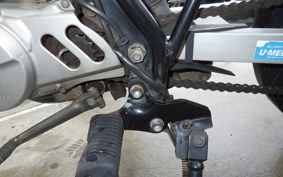 HONDA APE 50 2025 AC16