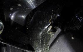 HONDA DIO 110 JK03