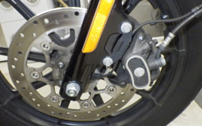 HARLEY XL1200NS 2019
