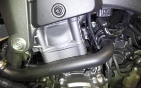 YAMAHA MT-10 SP 2024 RN78J