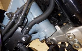 HONDA MONKEY 125 JB05