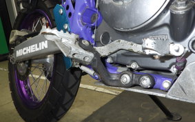 YAMAHA TT250R RAID 4GY