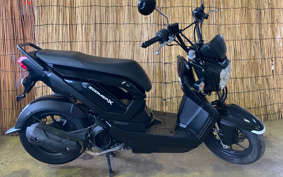 HONDA ZOOMER-X JF52