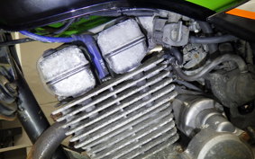 KAWASAKI SUPER SHERPA 2021 KL250G