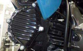 KAWASAKI Z125 PRO BR125H
